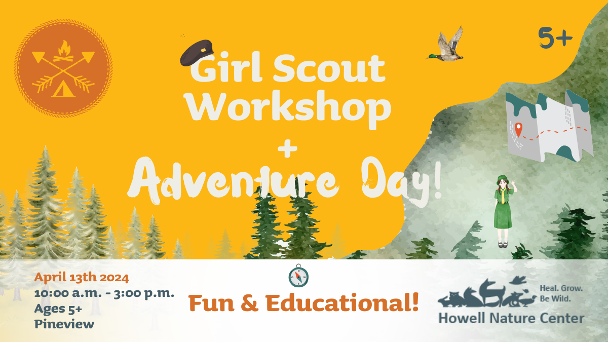 girl-scout-workshop-adventure-day