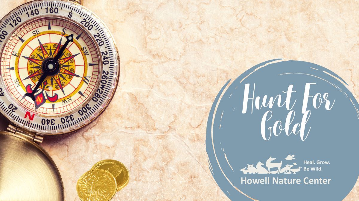 Hunt for Gold 1