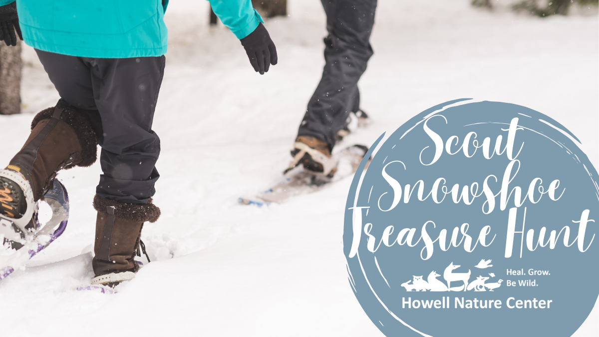 Scout Snowshoe Treasure Hunt