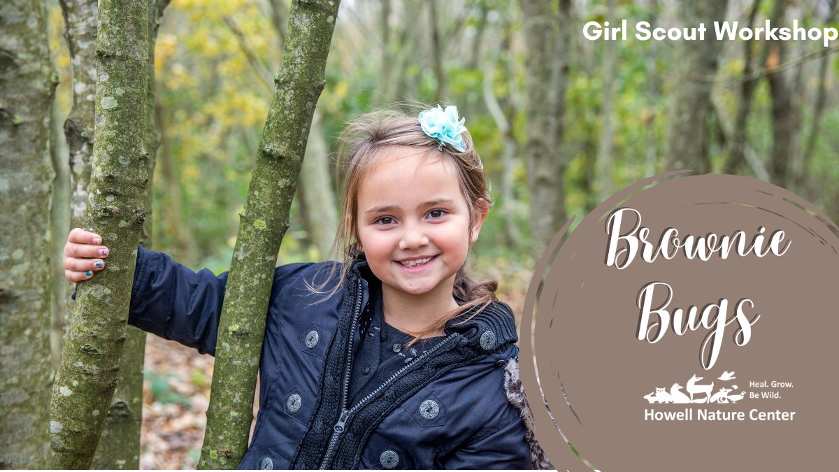 Brownie Bugs 1 Brownie Bugs