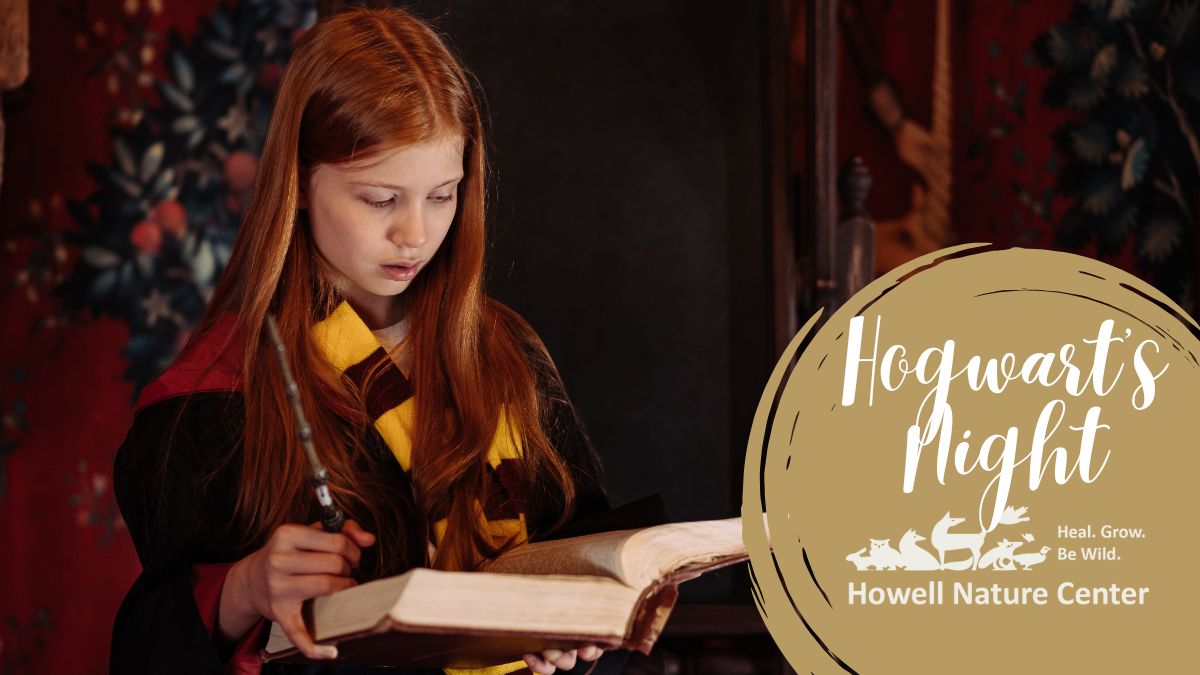Hogwarts Night