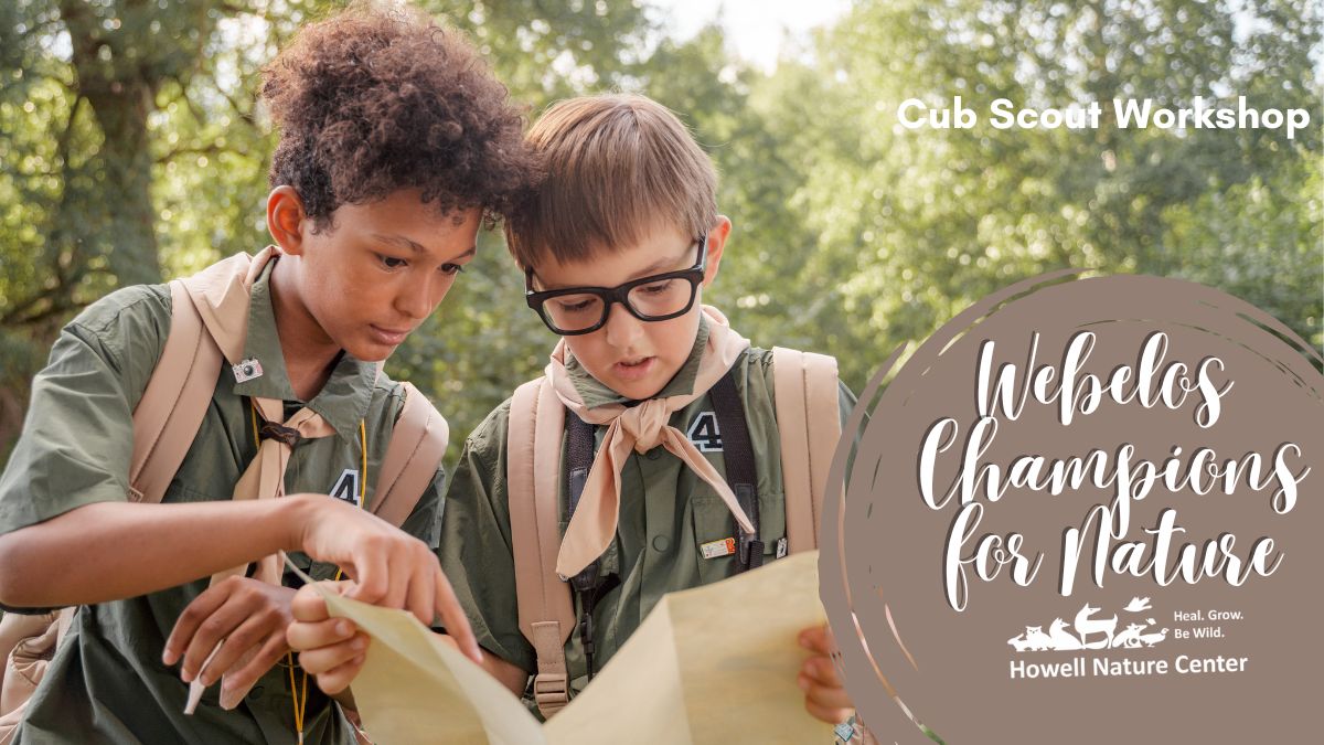 Webelos Champions for Nature