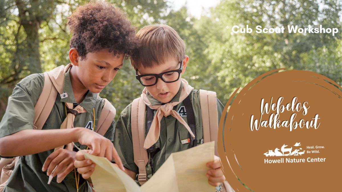 Webelos Walkabout