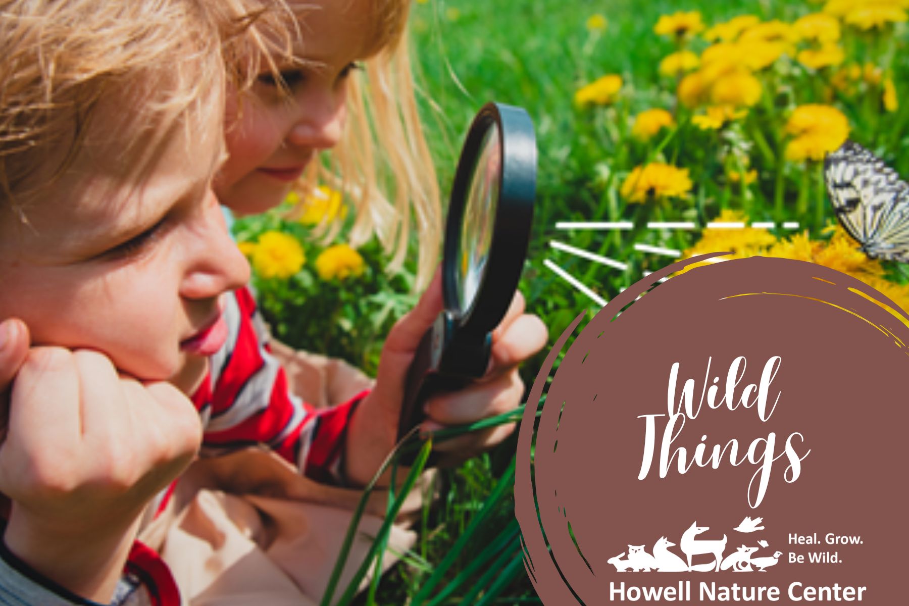 Wild Things 1 Wild Things