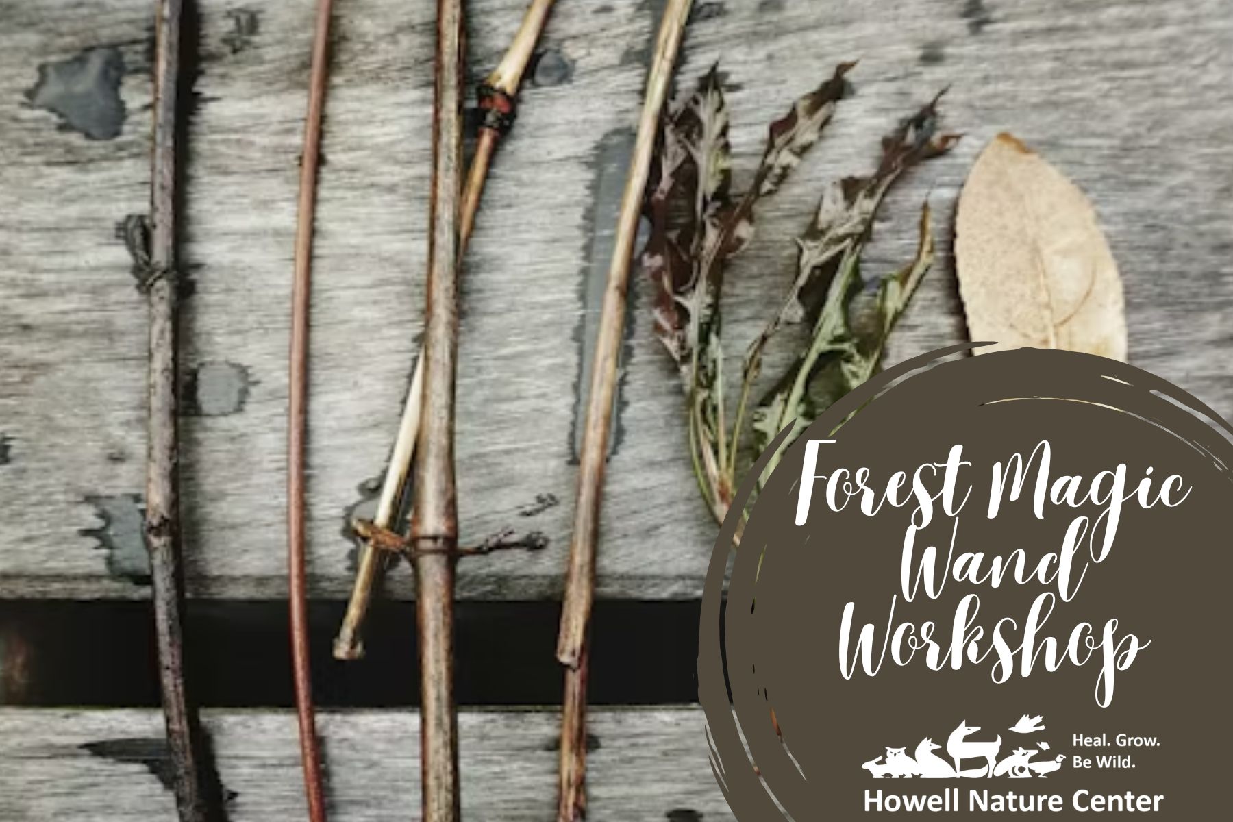 Forest Magic Wand Workshop 1 Forest Magic Wand Workshop