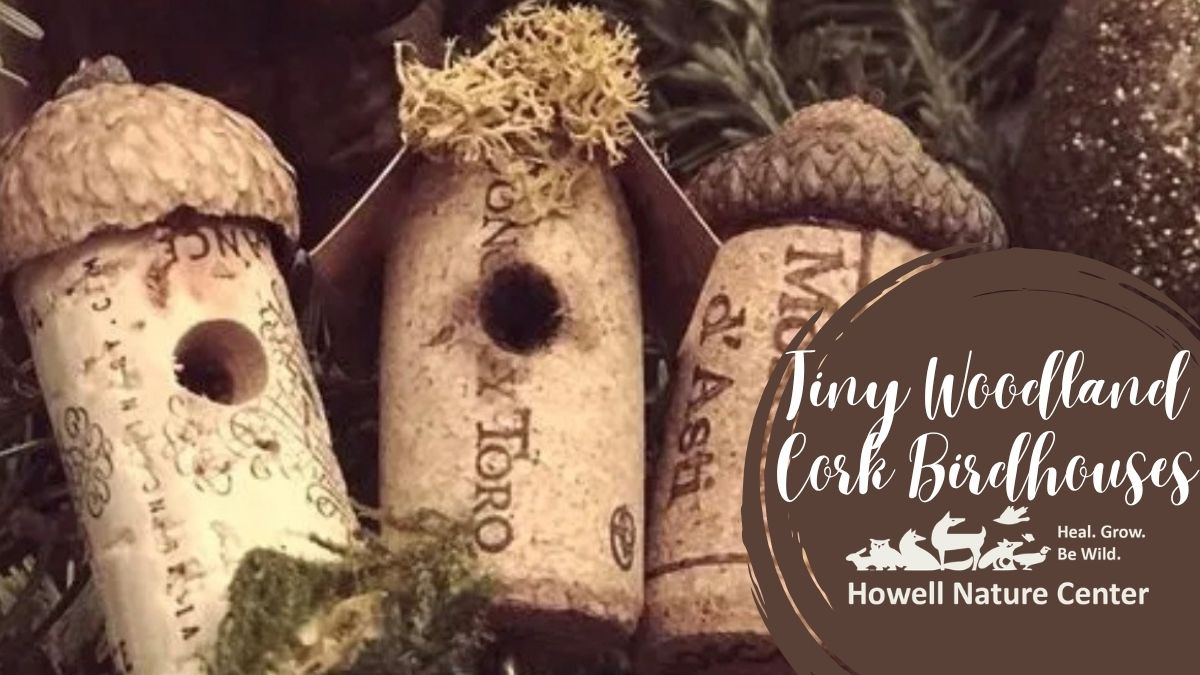 Tiny Woodland Cork Birdhouses 1 Tiny Woodland Cork Birdhouses