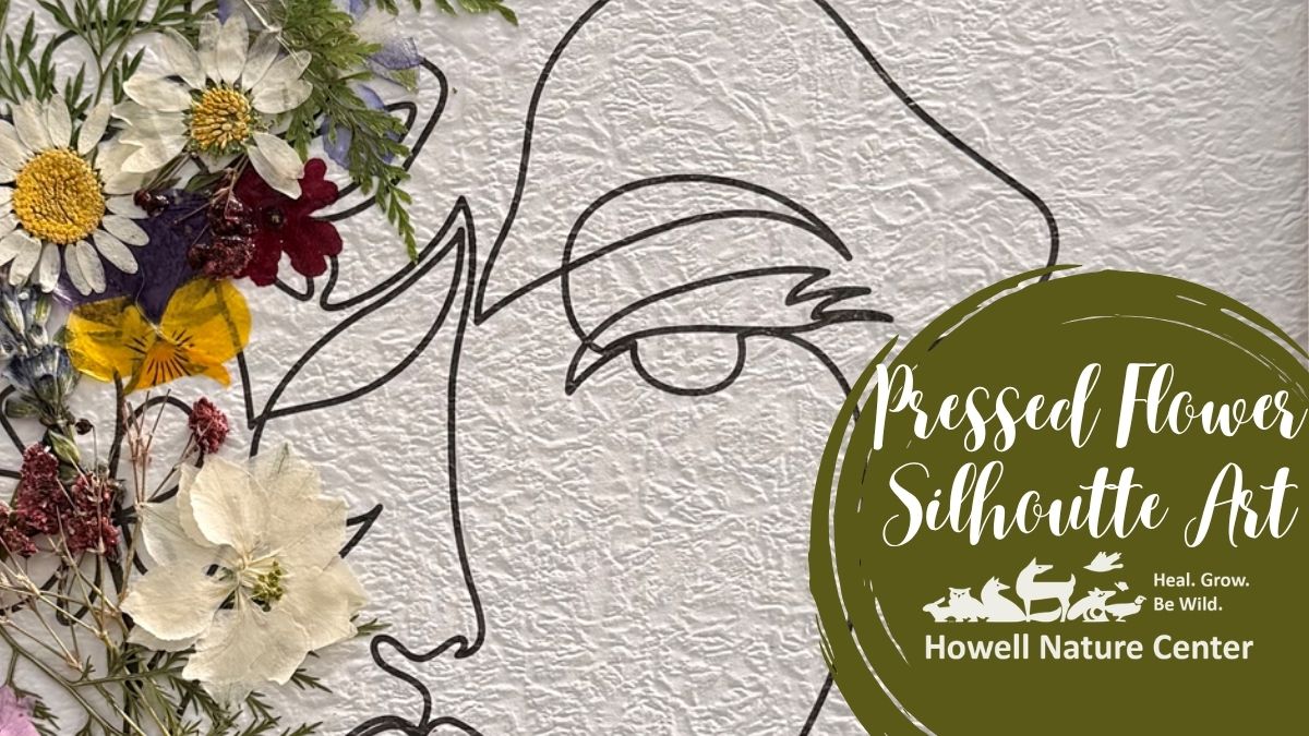Pressed Flower Silhouette Art 1 Pressed Flower Silhouette Art