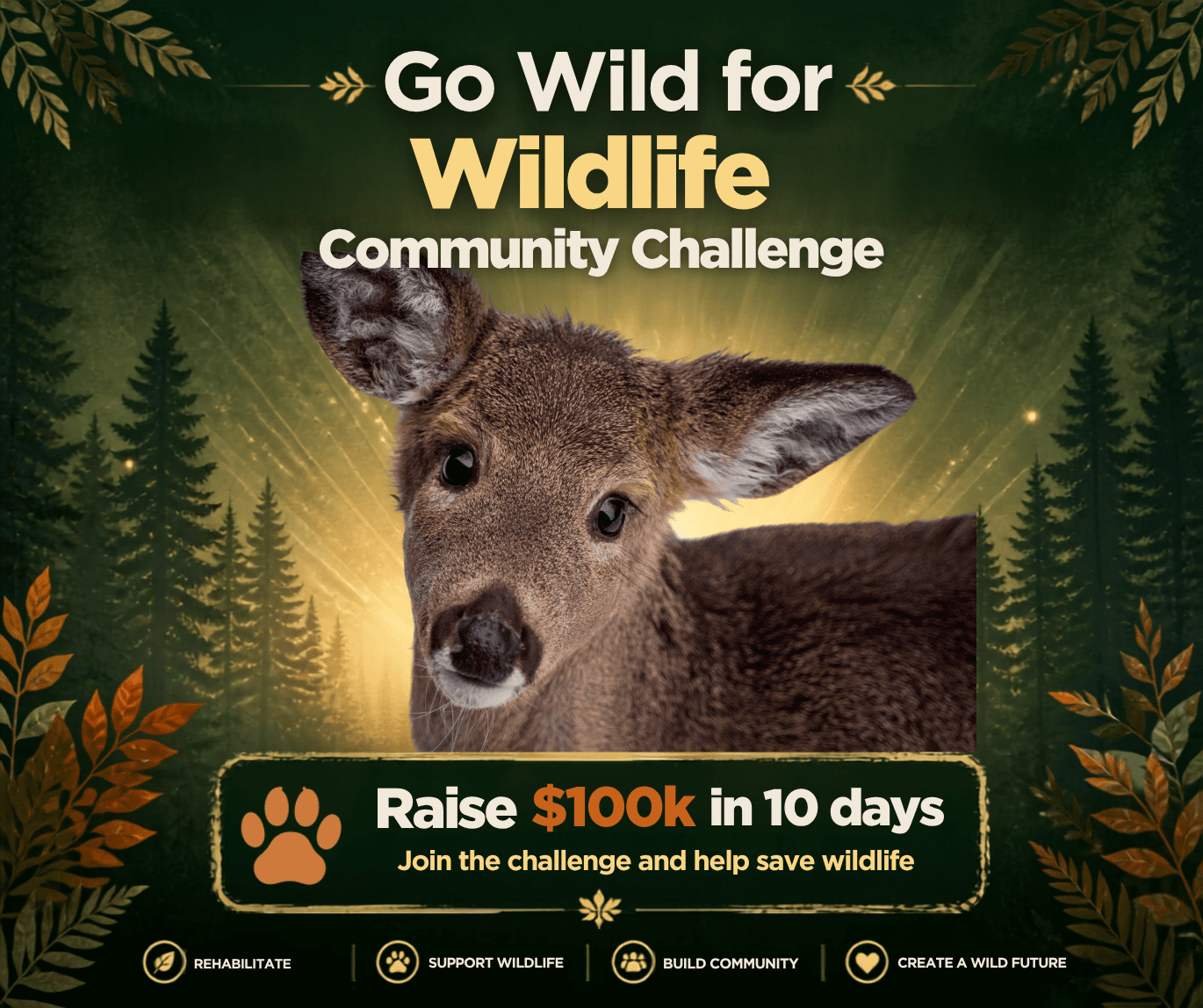 GoWild100k Fawn 1