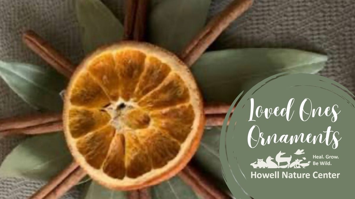 Loved One & Me: Matching Citrus Ornaments 1 Loved One & Me: Matching Citrus Ornaments