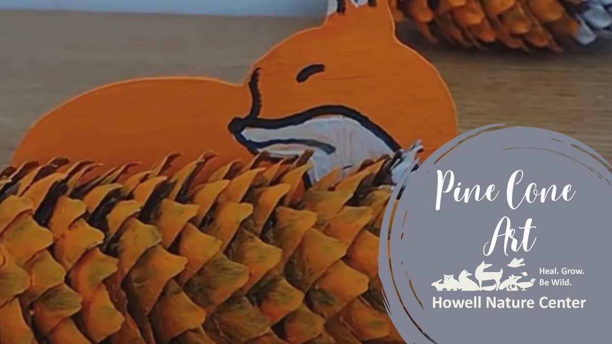 Forest Friends: Pine Cone Art 1 Forest Friends: Pine Cone Art
