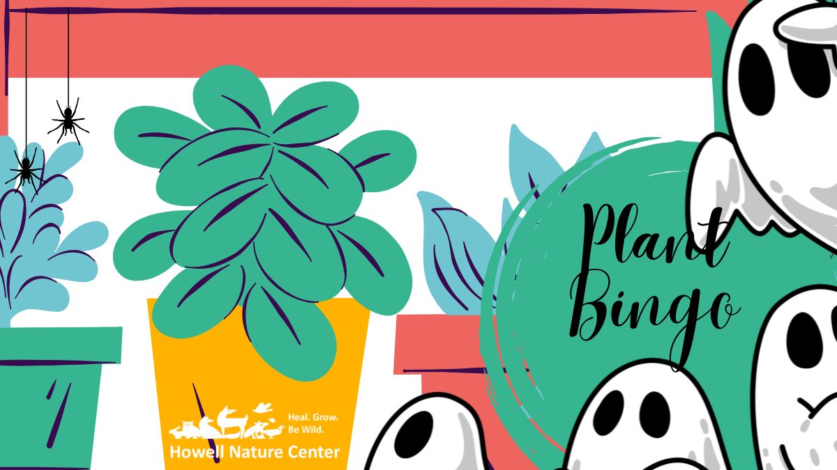 Spooky Plant Bingo October 11th, 2026 2:30 pm -5:30 pm 1 Spooky Plant Bingo October 11th, 2026 2:30 pm -5:30 pm